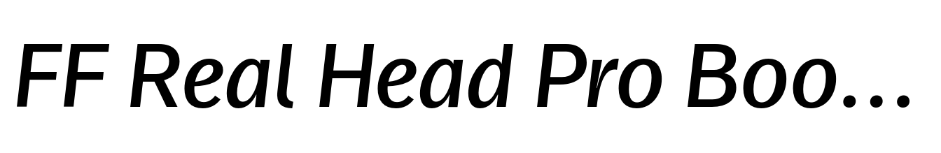 FF Real Head Pro Book Italic